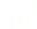 bfm