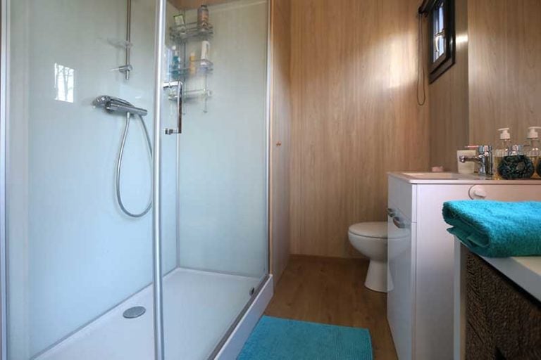 salle de bain douche suite chambre