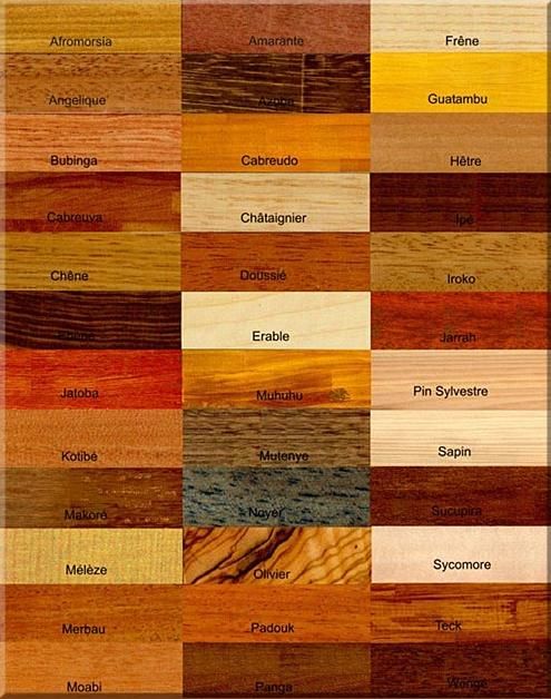 essences de bois pour Pool house en kit