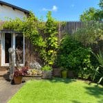 Studio de jardin recouvert de végétation