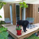 Studio de jardin avec un chien sur la terrasse