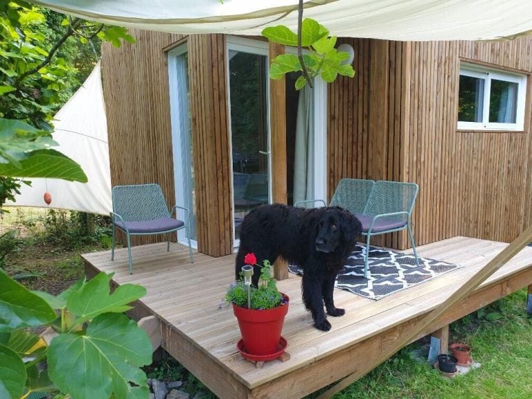 Studio de jardin avec un chien sur la terrasse