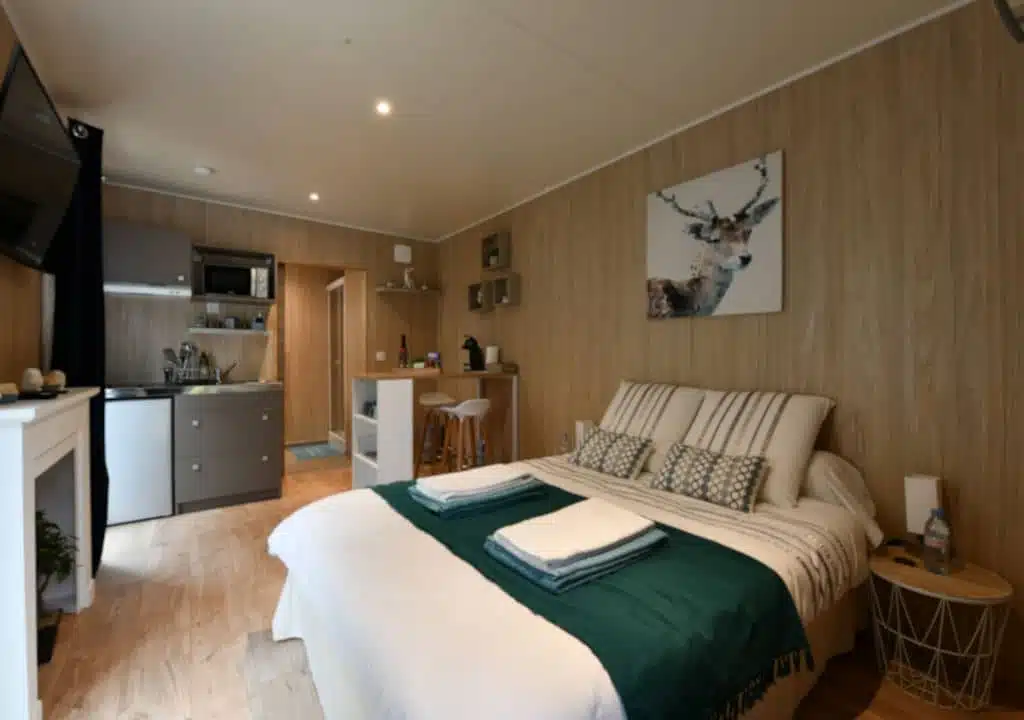 Aménagement salon d'un studio de jardin