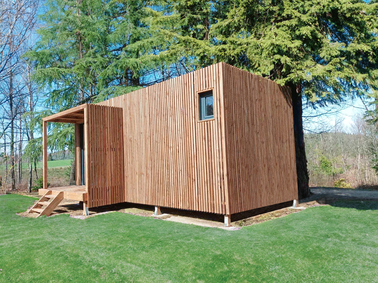 Studio de jardin en dessous d'un sapin