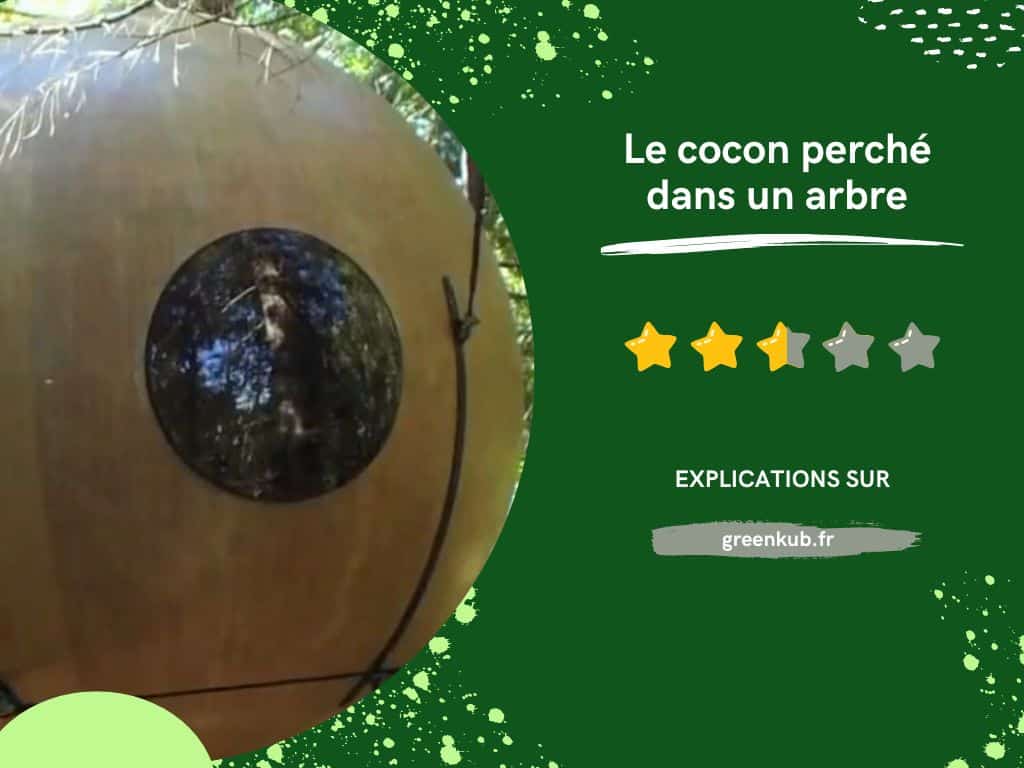 Avis sur le cocon perché dans un arbre - Cabane insolite