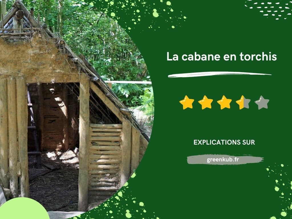 Avis sur la cabane en torchis - Cabane insolite