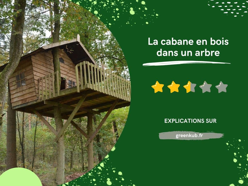 Avis sur la cabane en bois dans un arbre - Cabane insolite