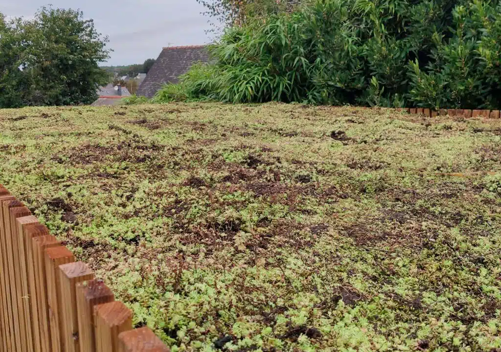 Une toiture végétalisée