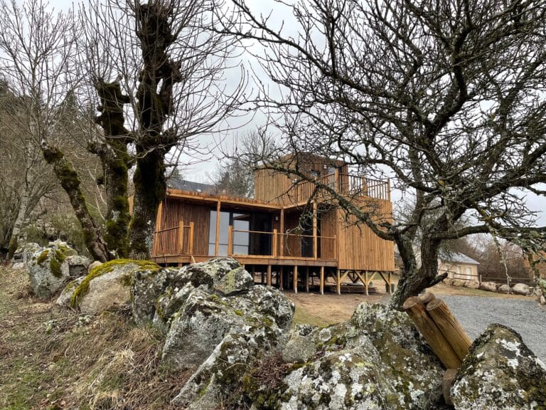 image4 (5)