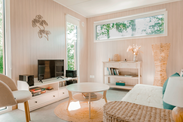 Salon aménagé dans une maison en bois
