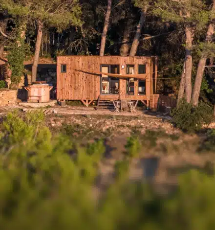 Chalet de jardin Greenkub