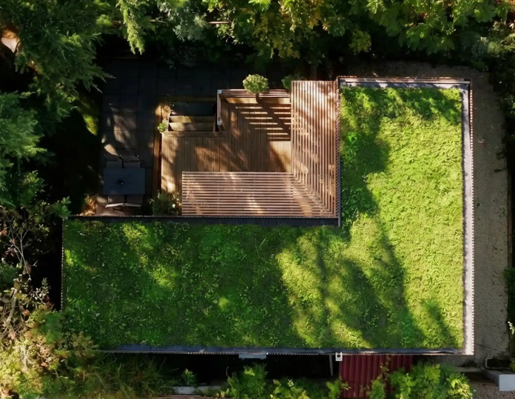 Toiture végétalisée